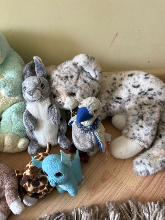 Ty ту ведмідь верблюд жаба мішка качка