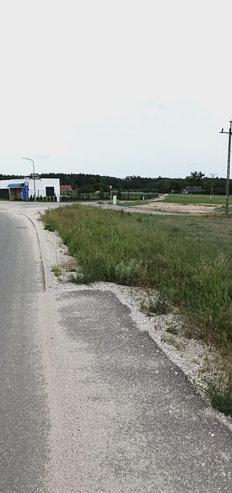 Sprzedam działkę gmina Łabiszyn - Widok 5