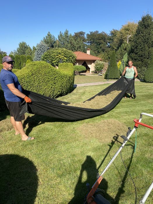 Стрижка газона,аэрация,скарификация, стрижка хвойных растений