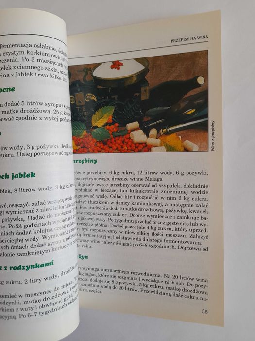 Wina domowe i potrawy z winem - Bolesław Pilarek