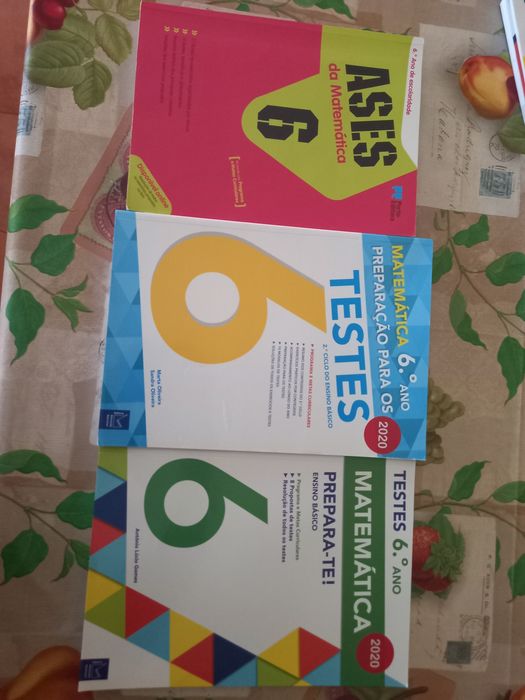 Livros apoio ao estudo 6.ano