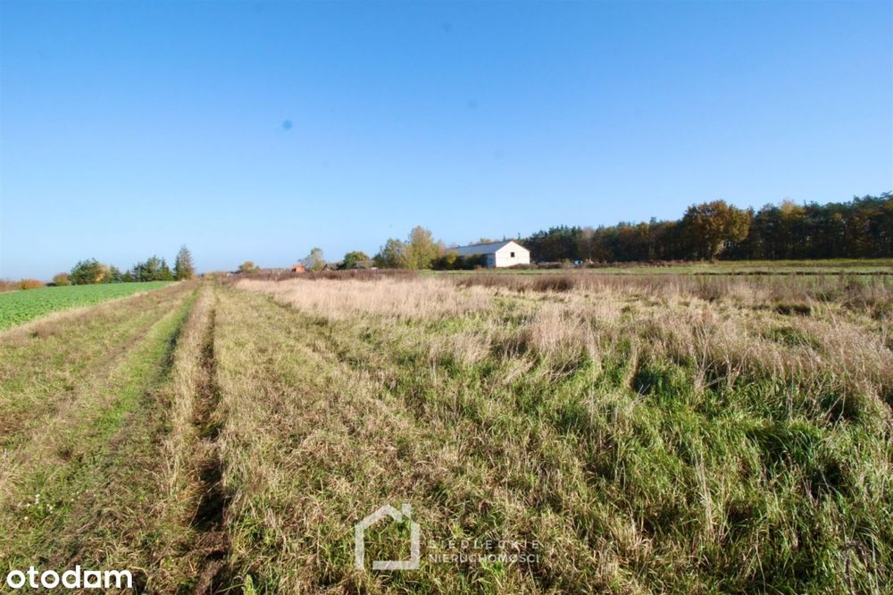 Działka, Pustki