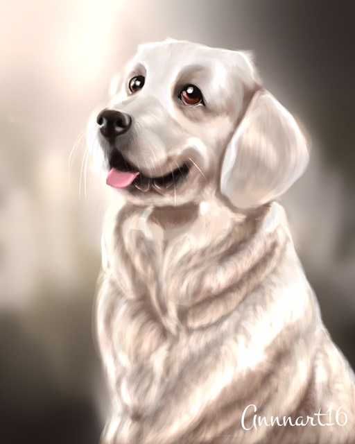 Ilustrator książek, plakatów dla dzieci