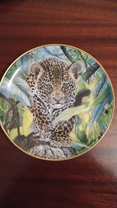 5 Pratos decorativos de 20,5cm diâmetro