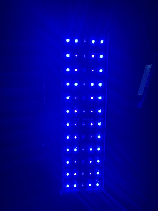 Lampa do akwarium morskiego