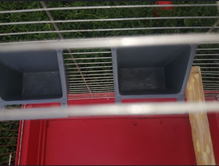 Клітка для птахів бу