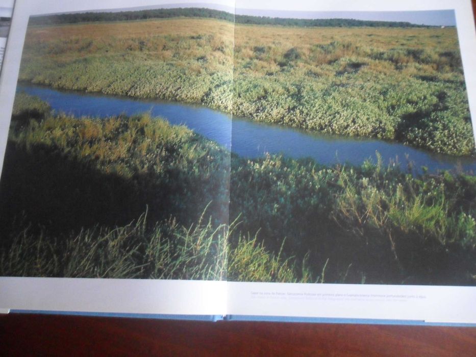 "O Tejo do Estuário" de João Nunes da Silva e Paula Lopes da Silva
