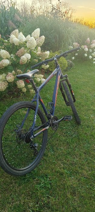 Rower Kross hexagon 3.0