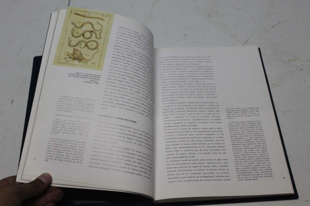 A Imagem Útil - Universidade Autónoma