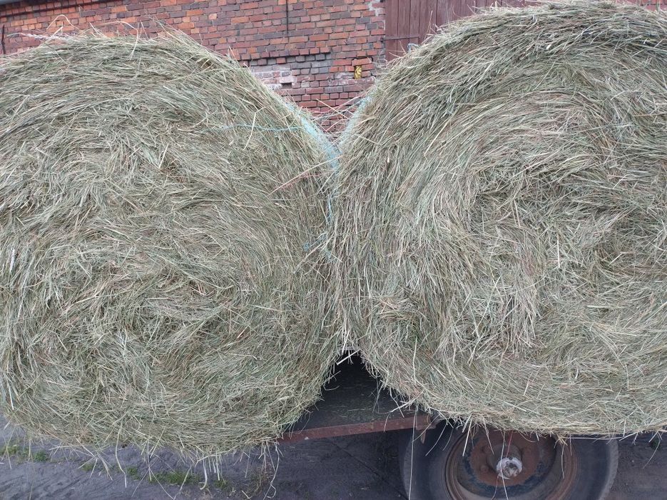 Siano z pod dachu 125/120