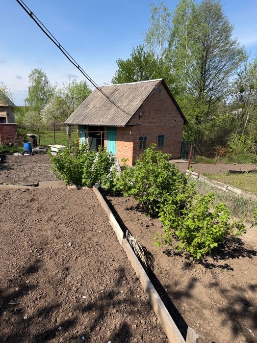 Будинок (дача) Тетерівський масив Житомирська область