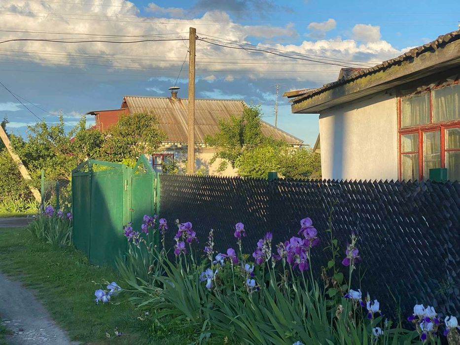 Продається будинок в Грицеві