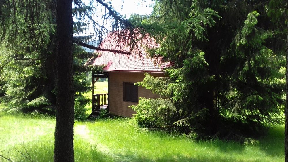 Transport Przeprowadzki Bielsko-Biała Wywóż Mebli Opróżnianie Mieszkań