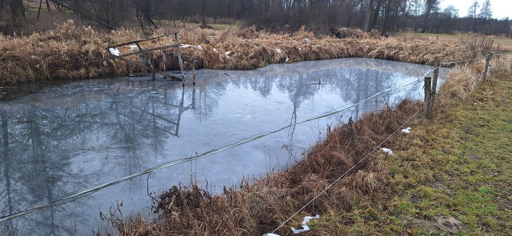 Sprzedam dom w miejscowości Świesielice 2,2ha