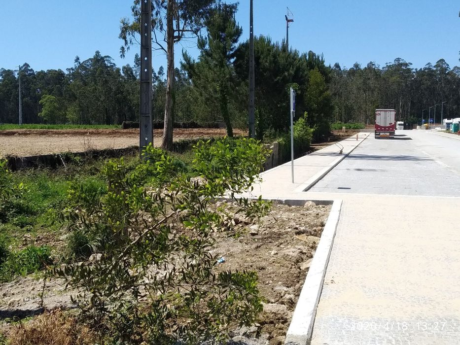 Arrendo terreno vedado