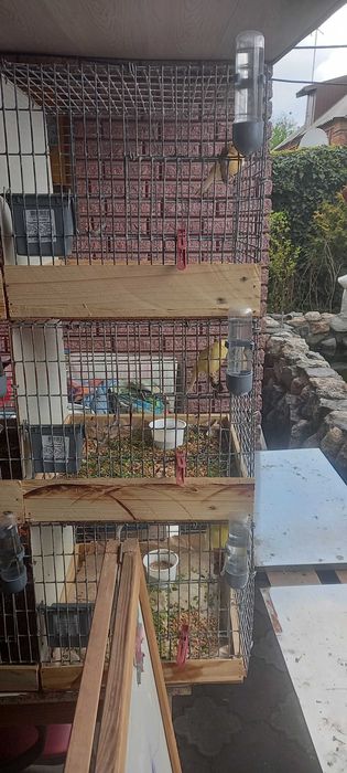 Продам Клетки для Кенарей канареек и канарейки.