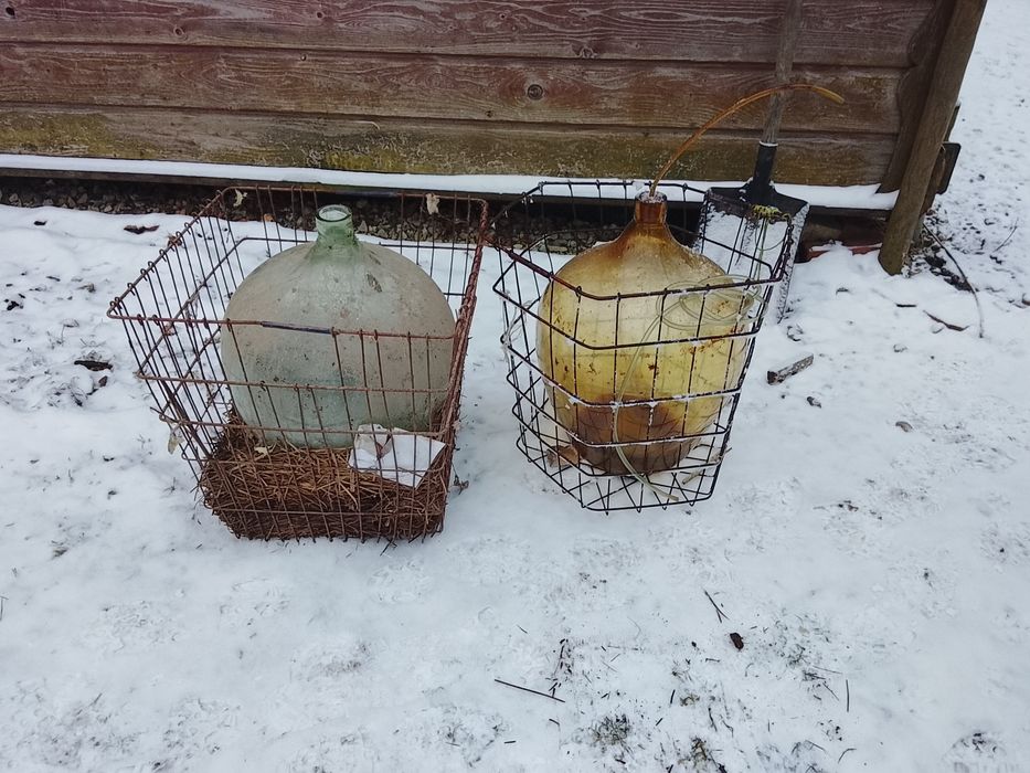 Balon gąsior na wino