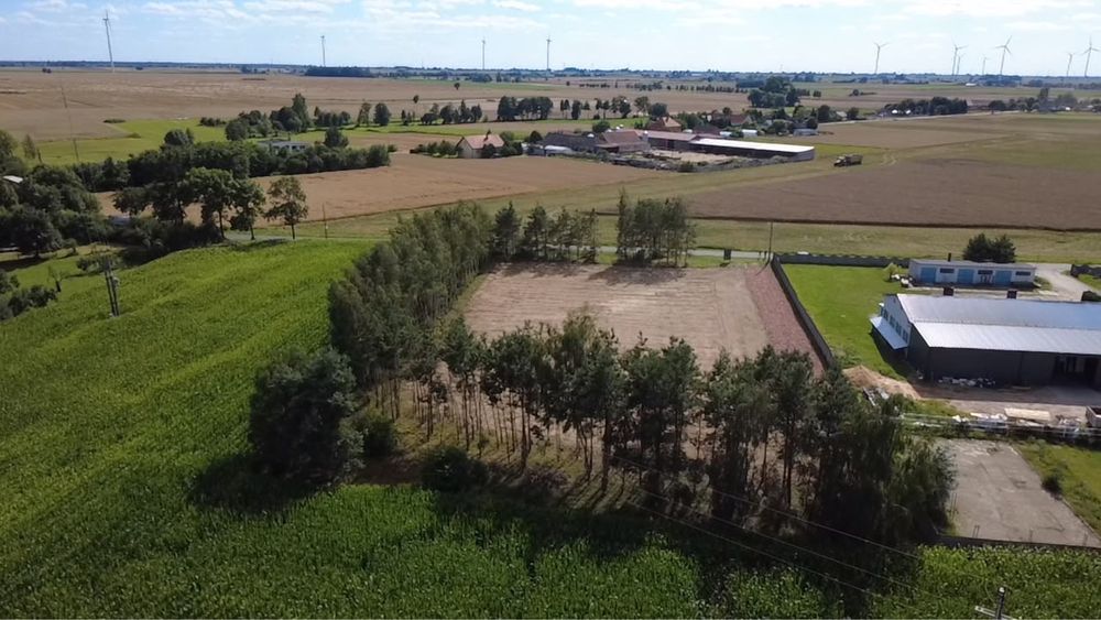 Działka na sprzedaż, otoczona drzewami 85zł/m2 1064-1436 m² - Wilcza gmina Kotlin - Widok 4