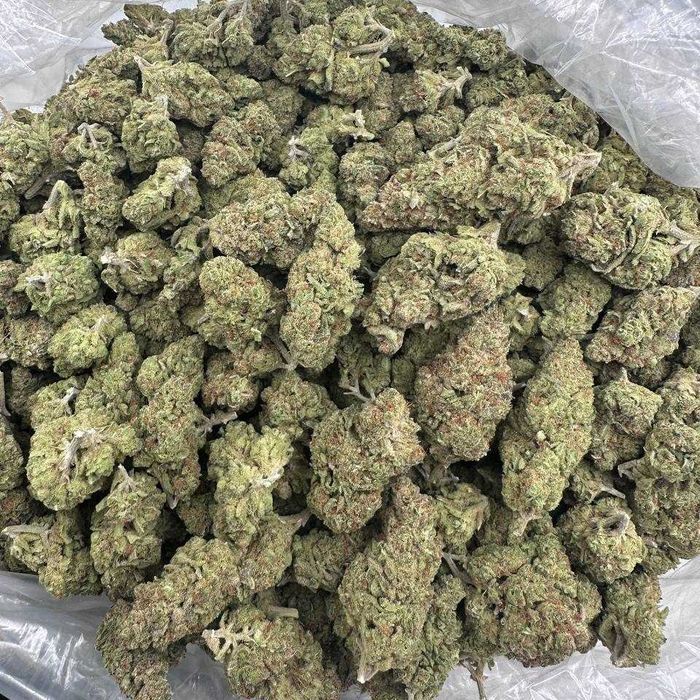 5g White Widow 22%