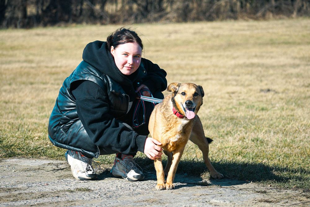 Merlin - niewielki, rudy piesek