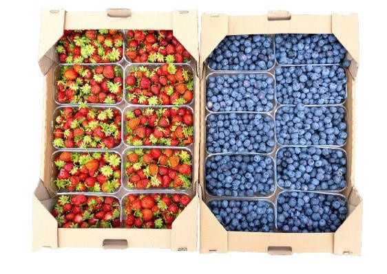 Гофроящик. Гофролоток. Гофроупаковка