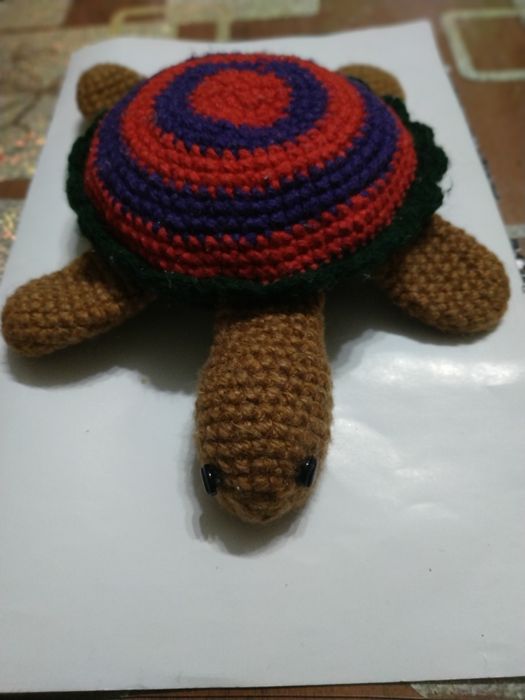 В'язана черепаха