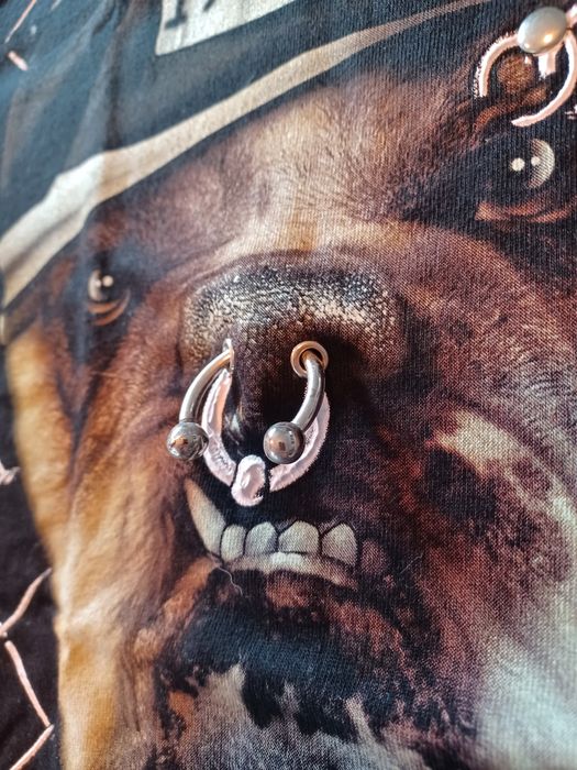 T-shirt marca Rock Chang 3D com Bulldog