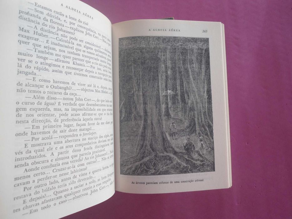 Livros de Júlio Verne (década de 70)