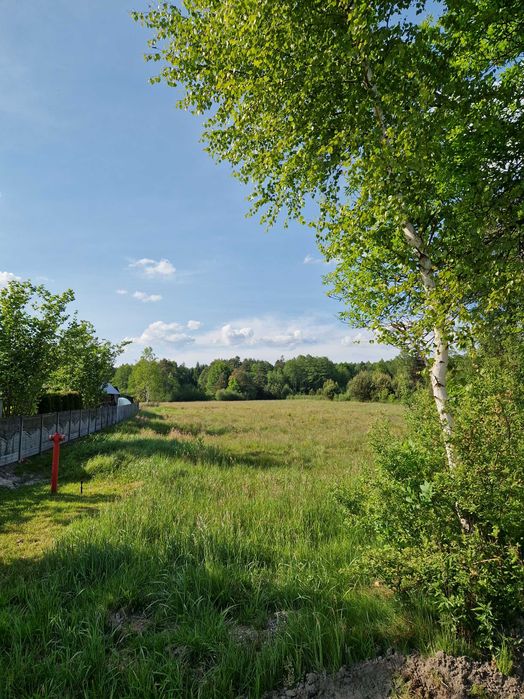 Wyjątkowa, duża działka z lasem i mediami.