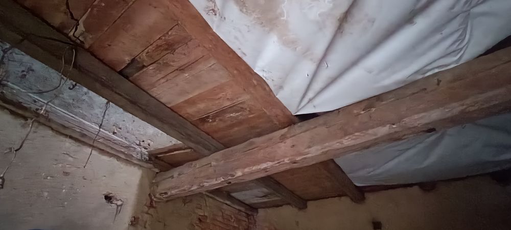 Stare belki . Cena do uzgodnienia