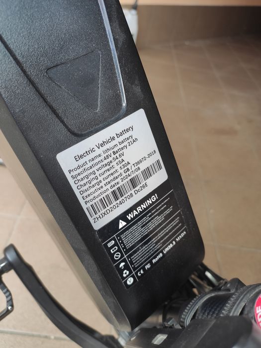 Rower elektryczny PASEBIKE 48V 21Ah | 2x Bateria | Schwalbe |