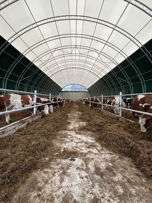 Hala Namiotowa, Hala dla Bydła, Hala na Bale, Ujeżdżalnia