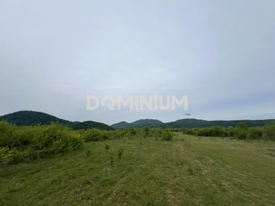 Інвестиційна пропозиція. Земля. с. Модорош. Закарпаття