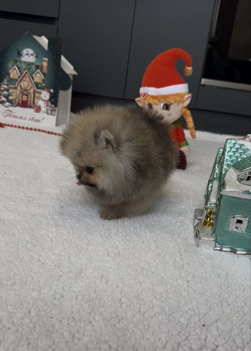 Ексклюзивчик!СУПЕР-МІНІ хлопчик