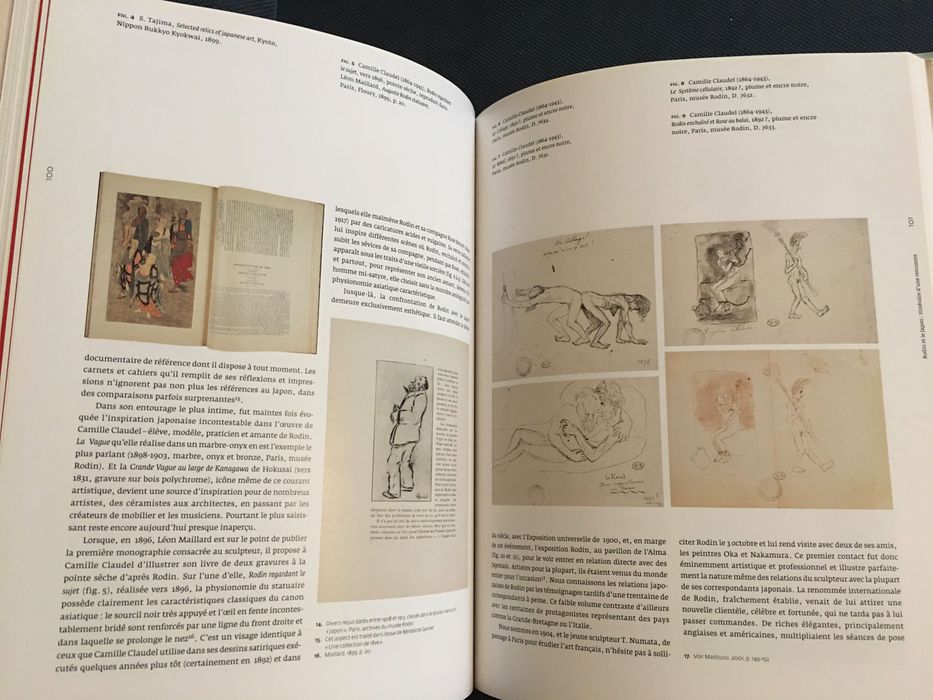 Rodin Le Rêve Japonais / La Peinture Japonaise