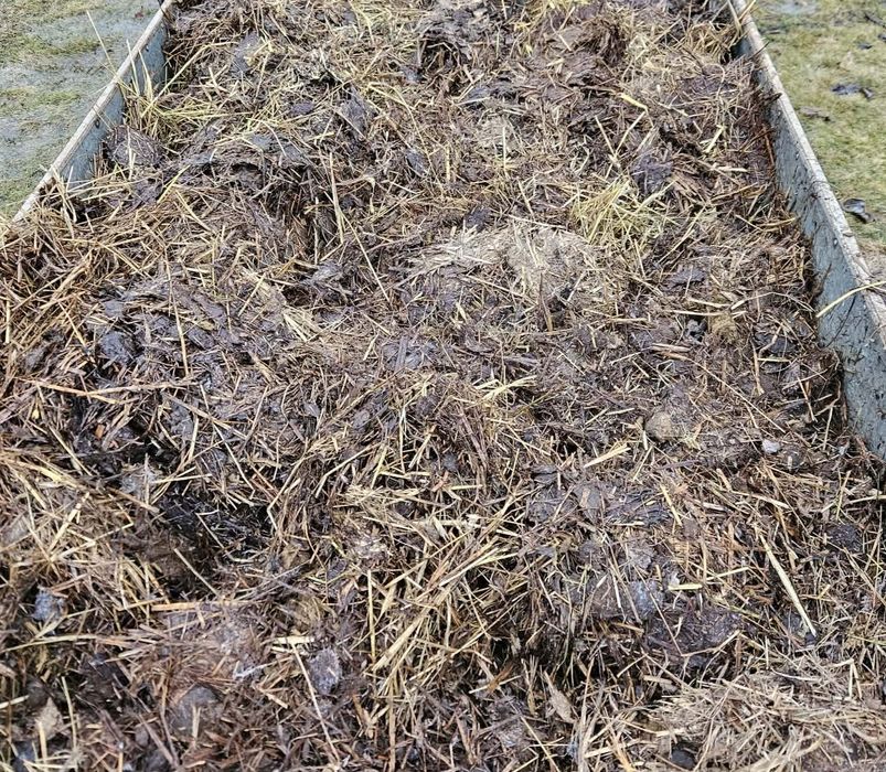 Obornik koński 25 kg workowany naturalny nawóz do ogródka