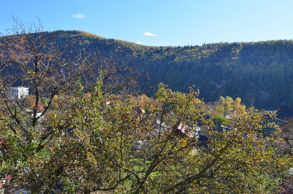 Відпочинок в Карпатах. Житло подобово Яремче. Отдых. Карпаты