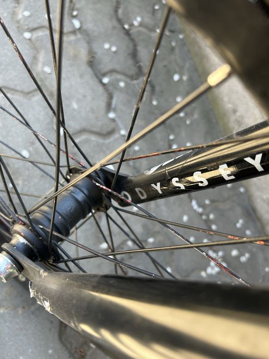 Rower BMX Cult Profile Primo Eclat
