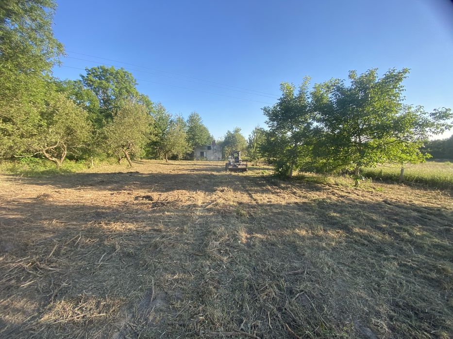 MULCZOWANIE MULCZER oczyszczanie terenu z trawy samosiejek drzew pni