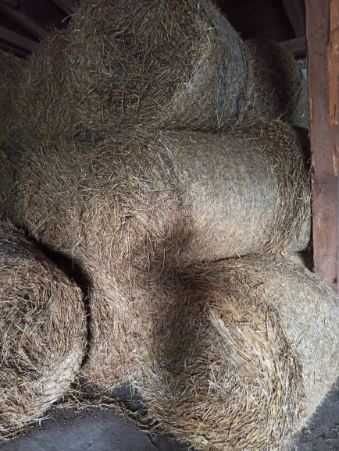 Sprzedam słomę i siano 2025