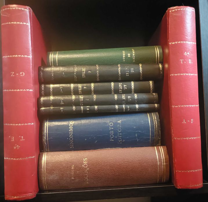 Lote de livros diversos