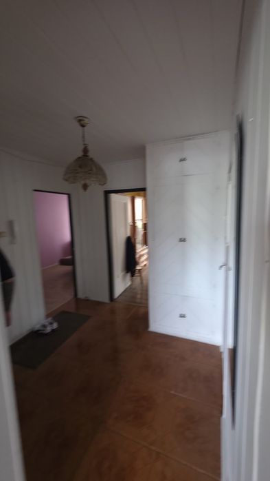 Zdjęcie 7