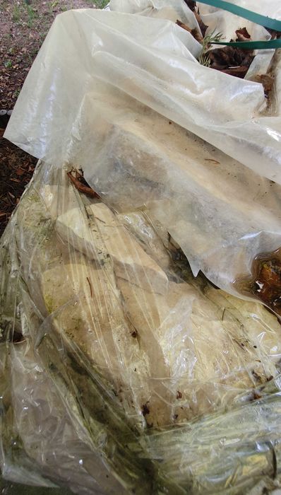 Kamień ozdobny elewacyjny piaskowiec dzikówka okazja