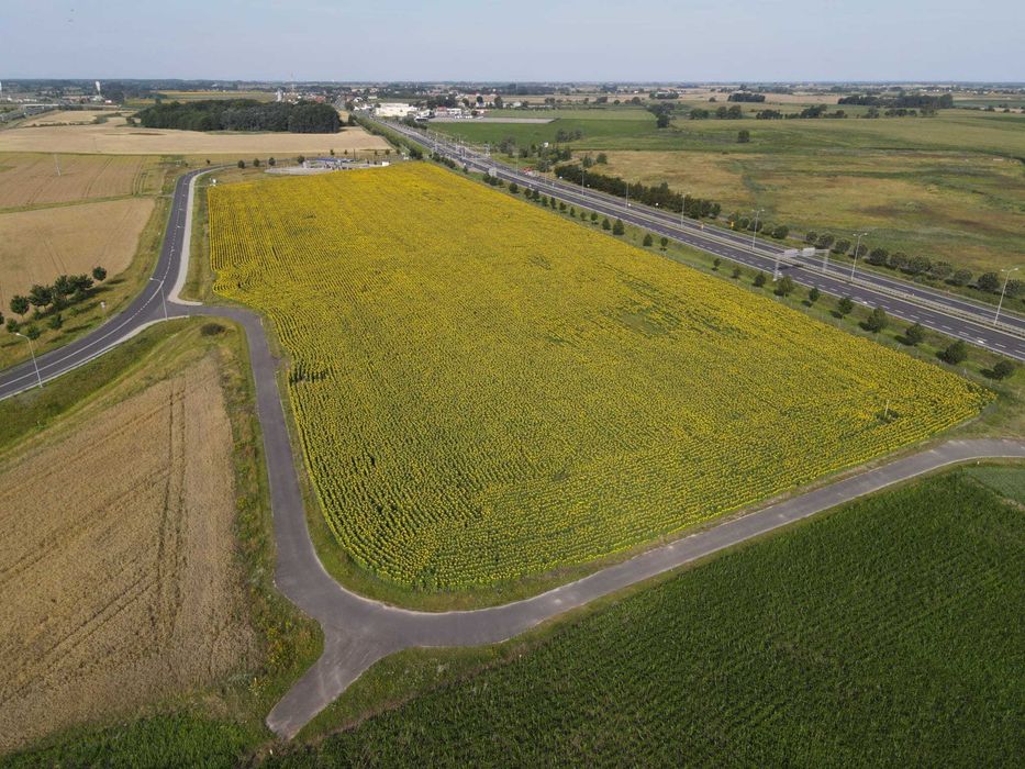 działka inwestycyjna 44000 m całość lub część