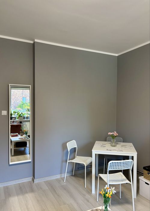 Kawalerka 32 m² na wynajem Poznań Grunwald - Widok 2