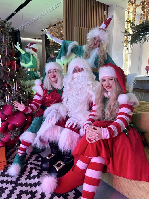 Санта Клаус Ельфи Дід Мороз Снігуронька Аніматори