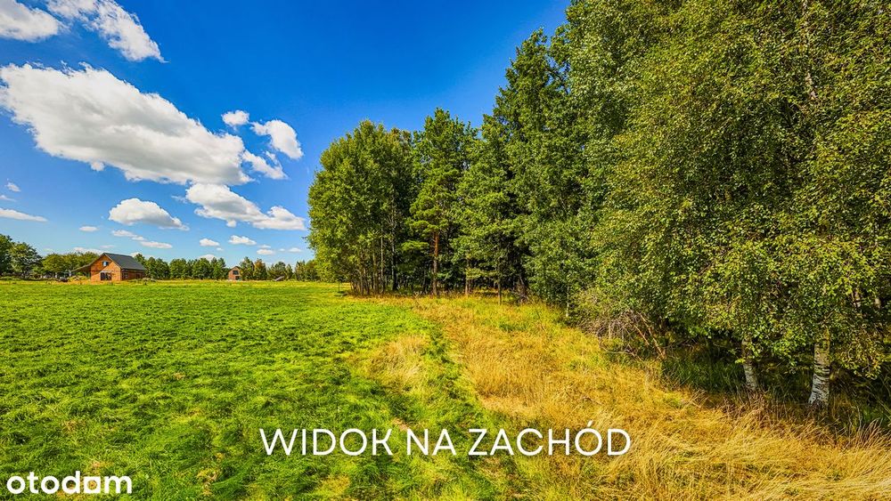 Zdjęcie 8