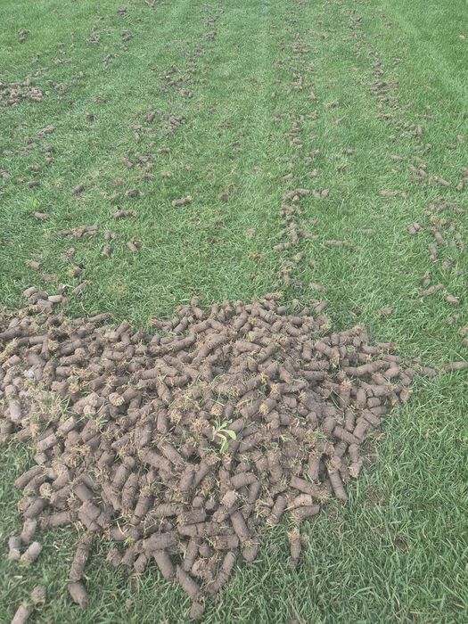 Aerator Aeracja wertykulacja Trawnika, piaskowanie,usługi, wynajem