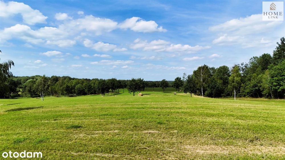 Działki z panoramicznym widokiem na jezioro.