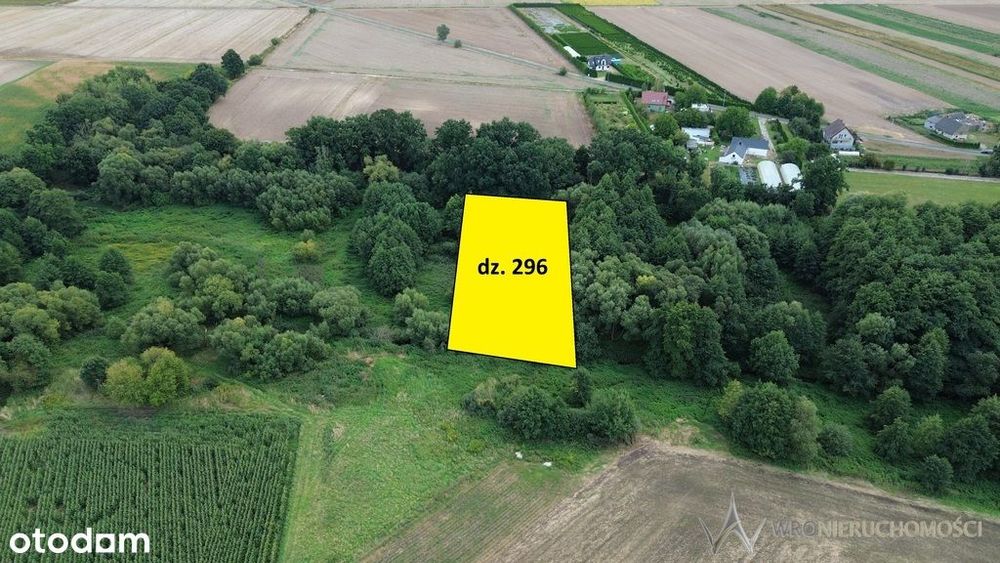 Działki 1,3550 HA oraz dom  i budynki gospodarcze - Widok 5
